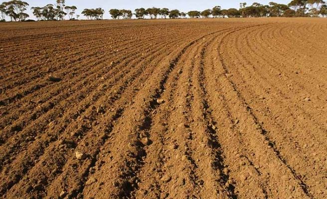 SİVAS’TA 2 MİLYON 841 BİN DEKAR TOPRAK NADASTA