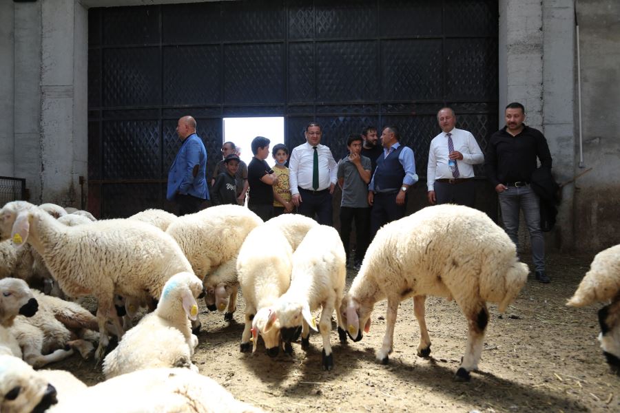 YATIRIMCILARIN SIKINTISINI GİDERMEK GEREKİR