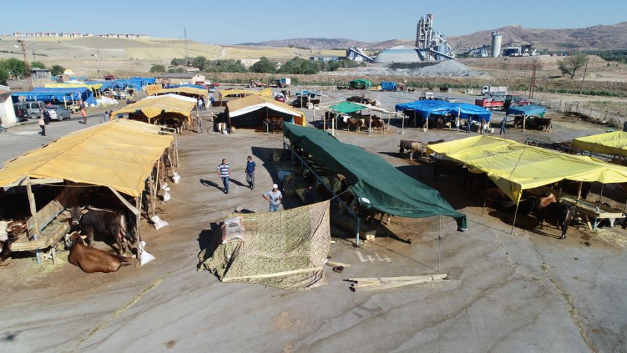 HAYVAN PAZARI KURBAN İÇİN DÜZENLENİYOR