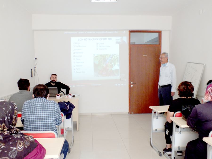 Ulaş'ta çilek yetiştiriciliği kursu açıldı