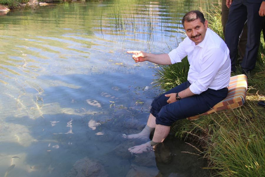 DOKTOR BALIKLAR ŞİFA DAĞITACAK --videolu--