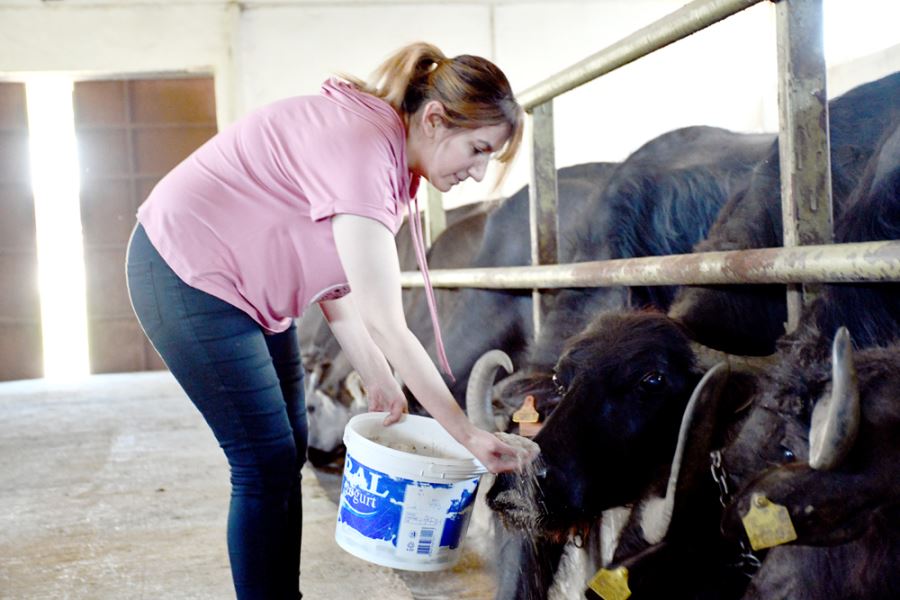 Sivas'ta 5 kız kardeş, baba mesleğini devlet desteğiyle aile işletmesine dönüştürdü