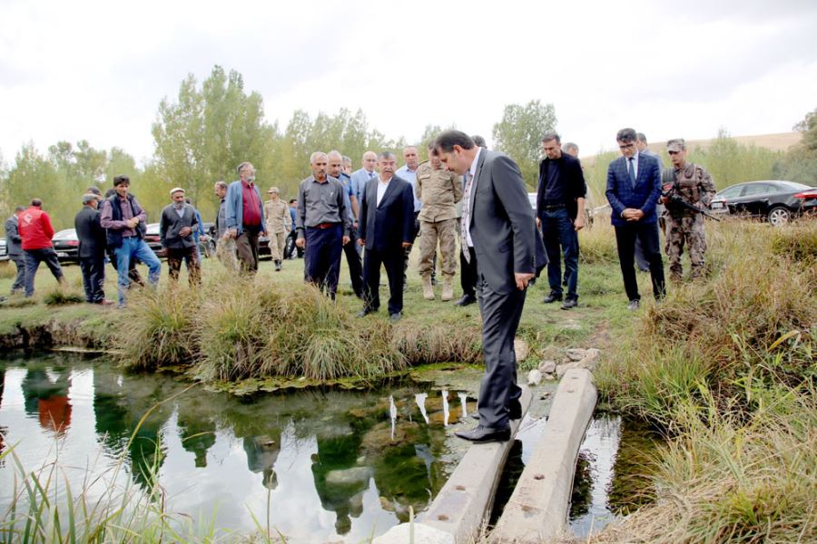 Sivas'ın "doktor balıkları" Kalkım Kaplıcaları'nda da şifa dağıtacak
