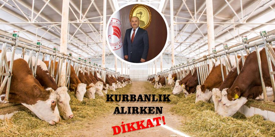 Kurban alırken dikkat edilmeli