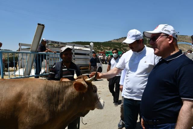 VALİ VE BAŞKAN İHTİYAÇ SAHİPLERİ İÇİN KURBAN ALDI