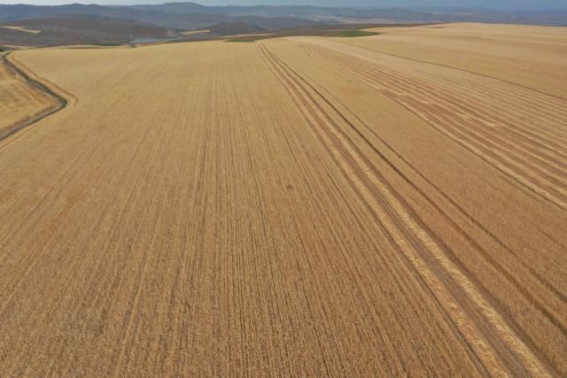 ÜRETİCİSİNİ MUTLU ETTİ