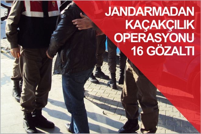 JANDARMADAN KAÇAKÇILIK OPERASYONU: 16 GÖZALTI