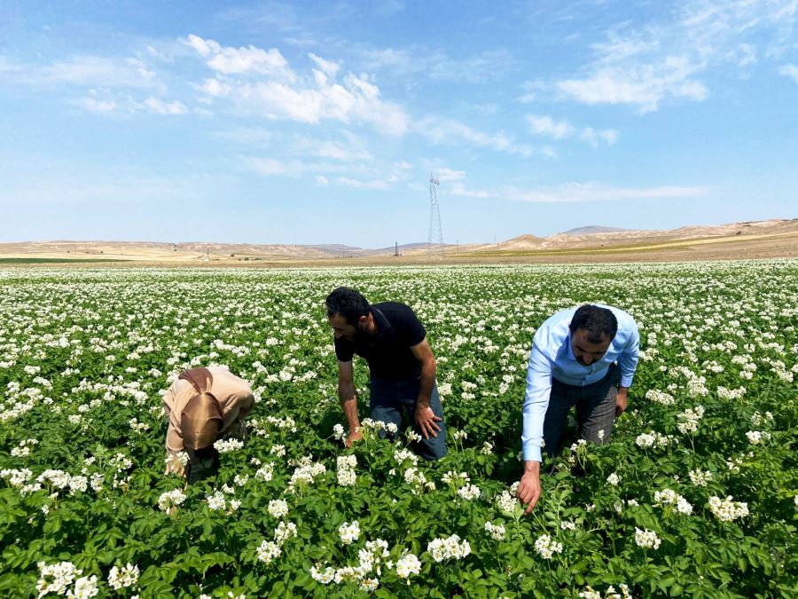 BÖYLE GİDERSE ÜRETİCİ KALMAYACAK
