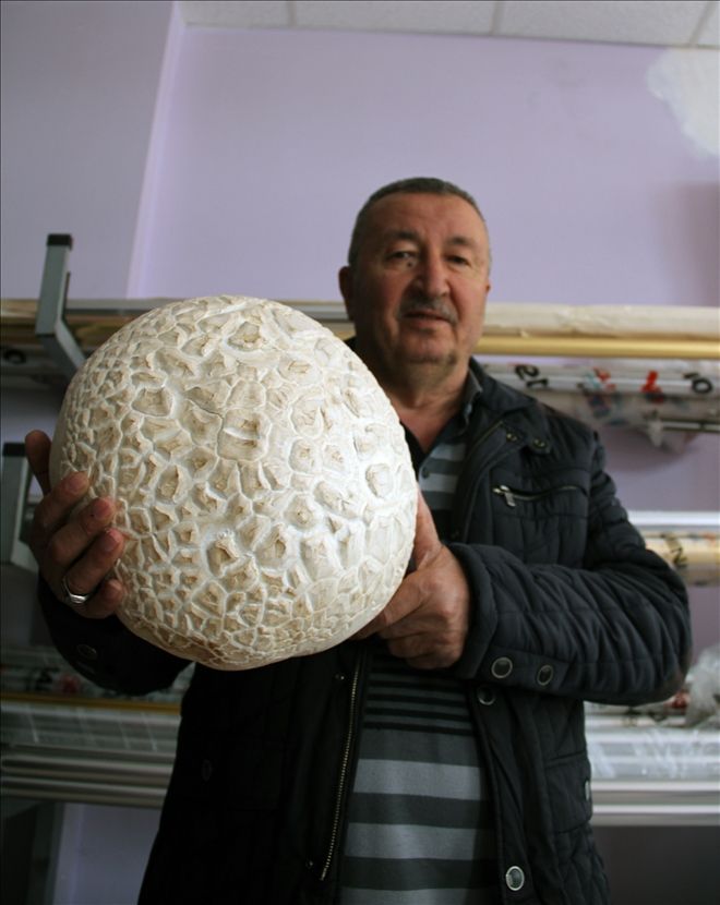 KIZILDAĞ ETEKLERİNDE 4 KİLOGRAM MANTAR BULUNDU