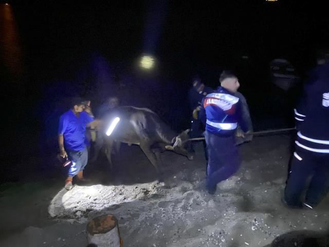 İNEĞİ İTFAİYE KURTARDI