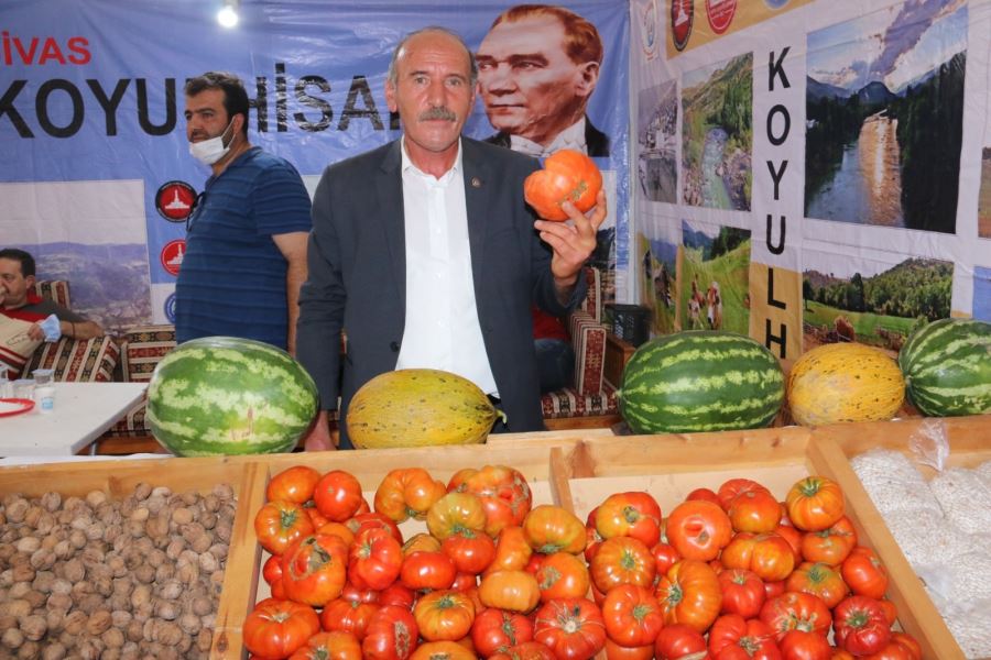 EŞSİZ DOMATES TESCİLLENDİ