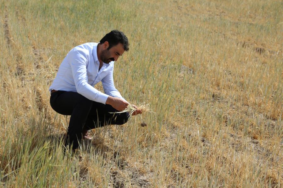 ÇİFTÇİLER PERİŞAN HALDE