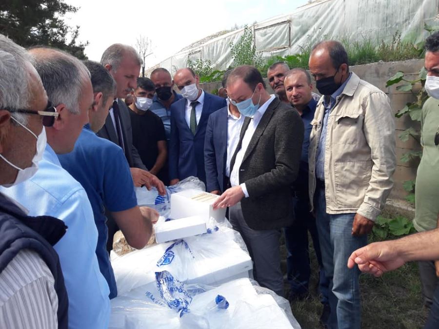 4 BİN 700 ANA ARI KUTUSU DAĞITILDI