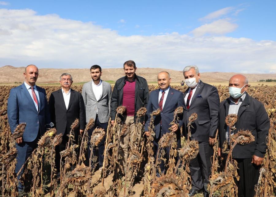 ÇİFTÇİNİN YÜZÜ AYÇİÇEĞİ İLE GÜLDÜ