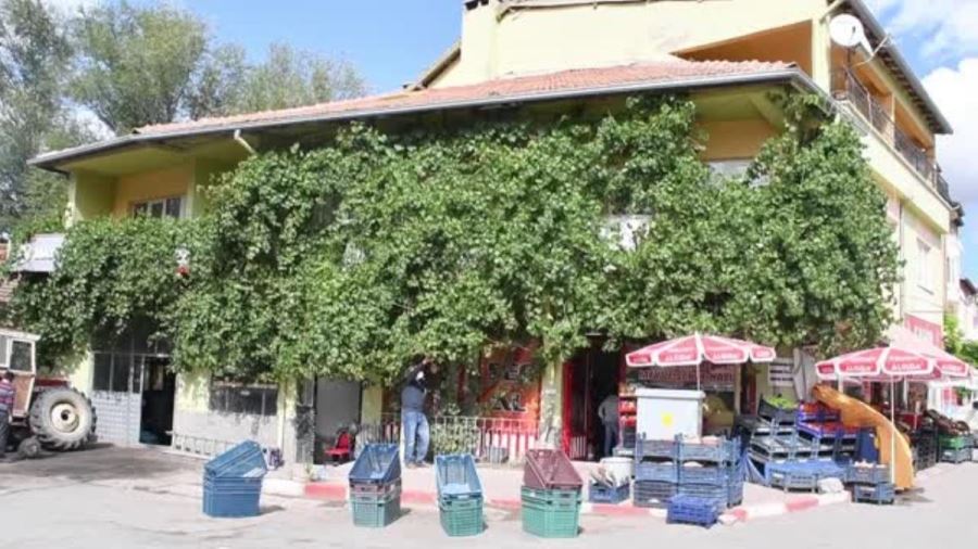 EŞİNDEN YADİGAR ASMAYA GÖZÜ GİBİ BAKIYOR