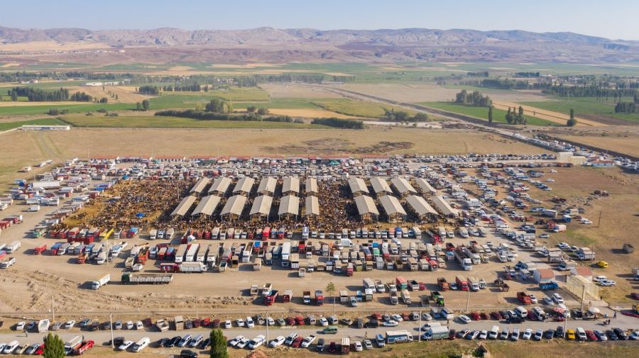 BU PAZAR TÜRKİYE’NİN EN BÜYÜĞÜ (VİDEO)