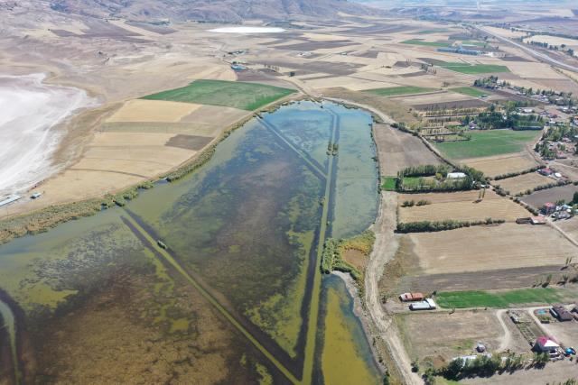 BALIK ÖLÜMLERİ İÇİN ÇALIŞMA BAŞLATILDI