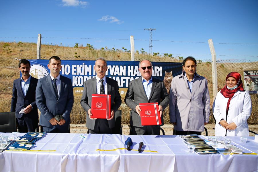 SEVİMLİ DOSTLAR İÇİN PROTOKOL (VİDEO)