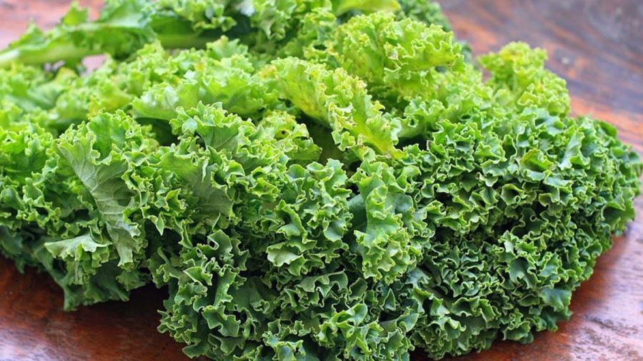 ZAM ŞAMPİYONU KIVIRCIK