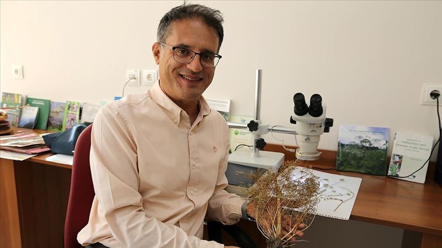 YILLAR SONRA YENİDEN RASTLANDI