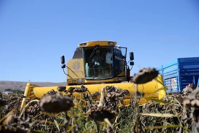 AYÇİÇEĞİ YÜZLERİ GÜLDÜRDÜ