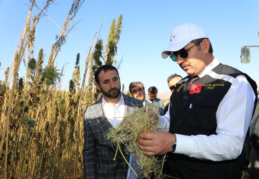 EKİM ALANI GENİŞLEYECEK