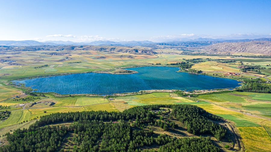 KUŞ CENNETİ HAFİK GÖLÜ BÜYÜLÜYOR (VİDEO)