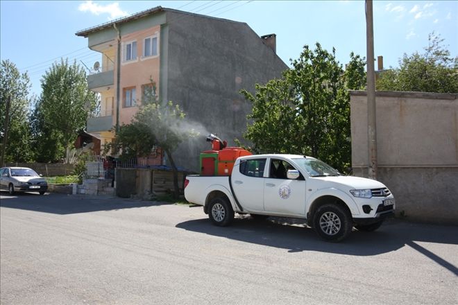 BELEDİYE´DEN HAŞERELERE KARŞI MÜCADELE