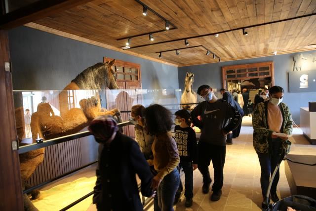 SAVAŞ ATLARI MÜZESİNE YOĞUN İLGİ