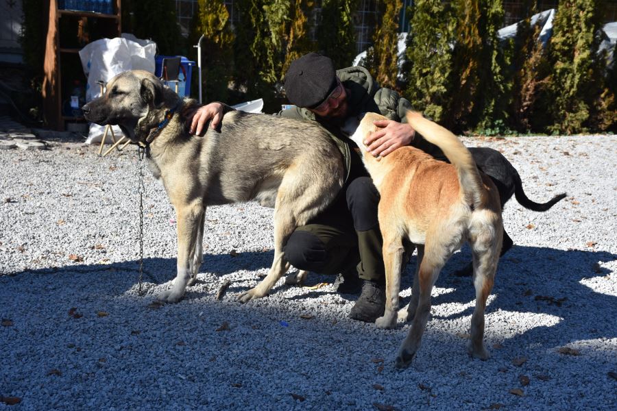 İşlettiği kafenin bir bölümünü can dostlarına ayırdı