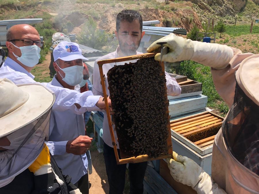 HALK EĞİTİMDEN UYGULAMALI ARICILIK KURSU