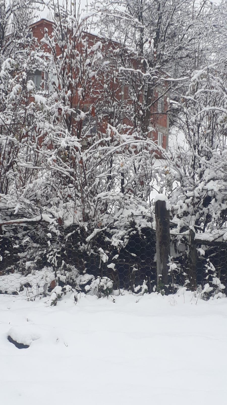 6 KÖY YOLU KAPANDI (VİDEO)