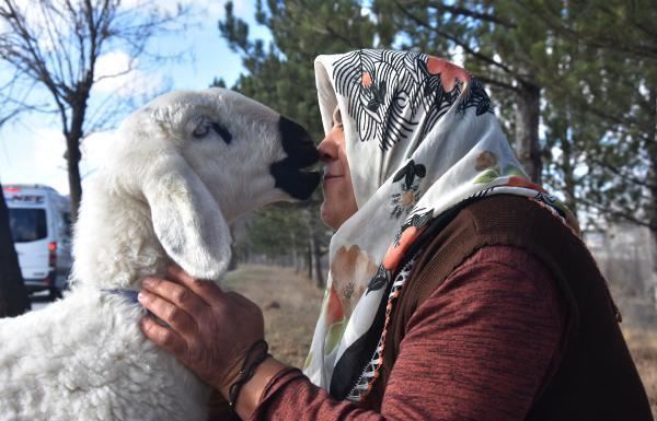 ANNESİNİN KUZUSU 'YAREN'