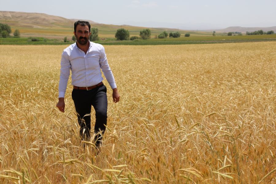 REKOLTEDE DÜŞÜŞ YAŞANACAK