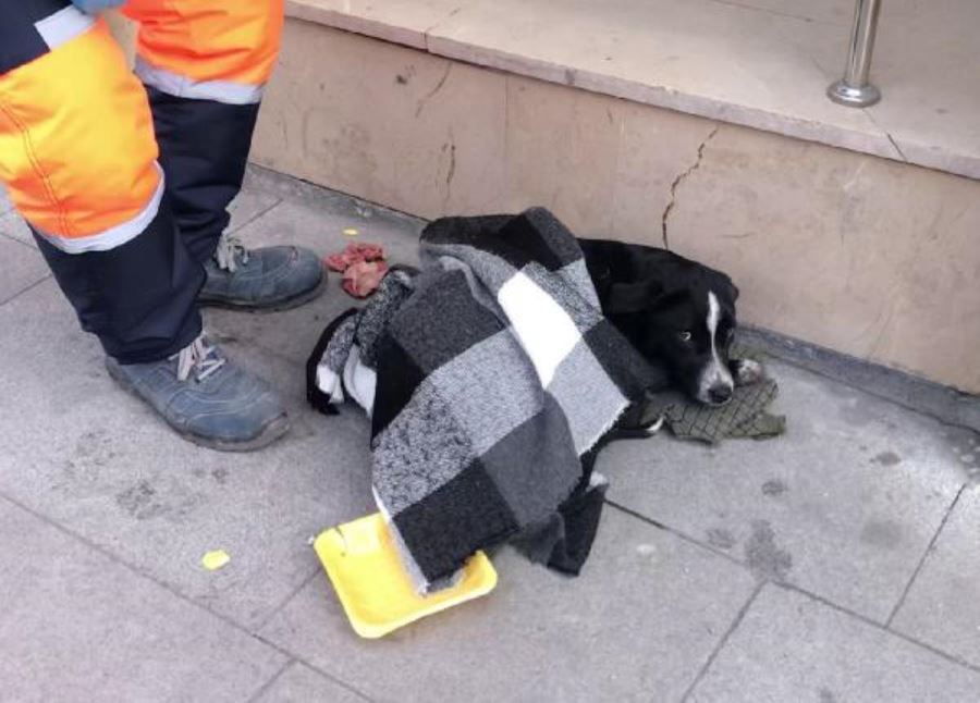 ÜŞÜMESİN DİYE KAZAĞINI ÖRTTÜ