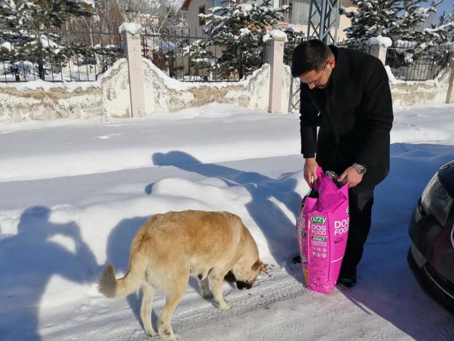 En iyi dostlar unutulmadı