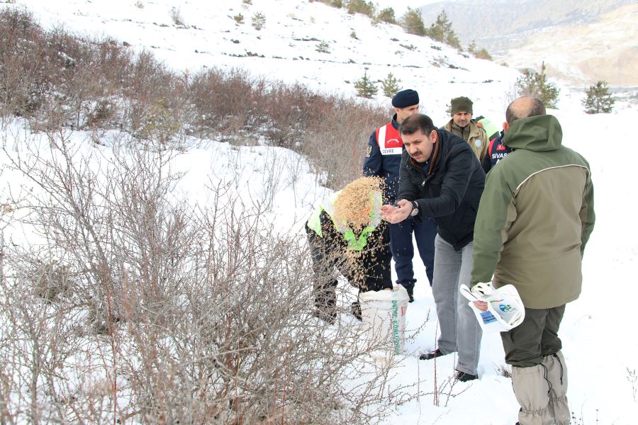 Hayvanları sevelim ve koruyalım (Video)