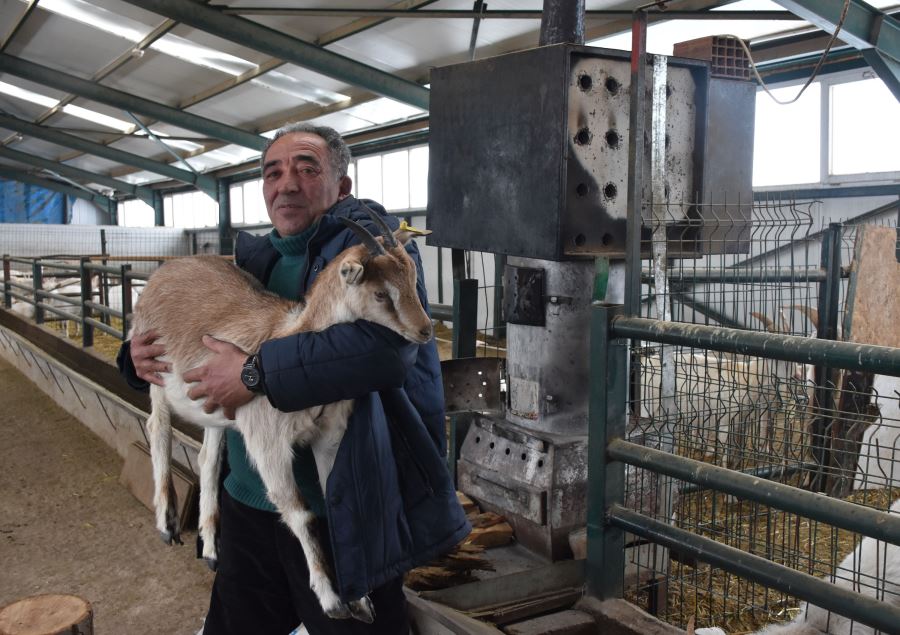 Çiftliğindeki keçileri sobayla ısıtıyor