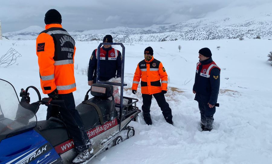 Jandarma yem bıraktı