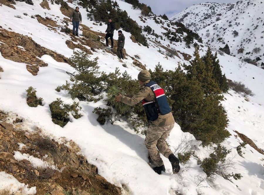 Divriği'de doğaya yem bırakıldı