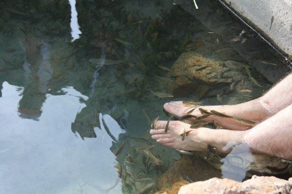 KALKIM ŞİFA OLACAK