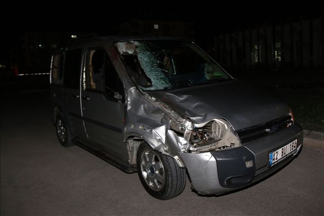 HAFİF TİCARİ ARAÇ ATA ÇARPTI: 1 ÖLÜ