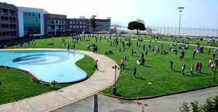 Trabzon Üniversitesi Sözleşmeli Personel alım ilanı