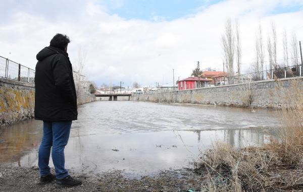 TECER IRMAĞI YENİDEN HAYAT BULDU