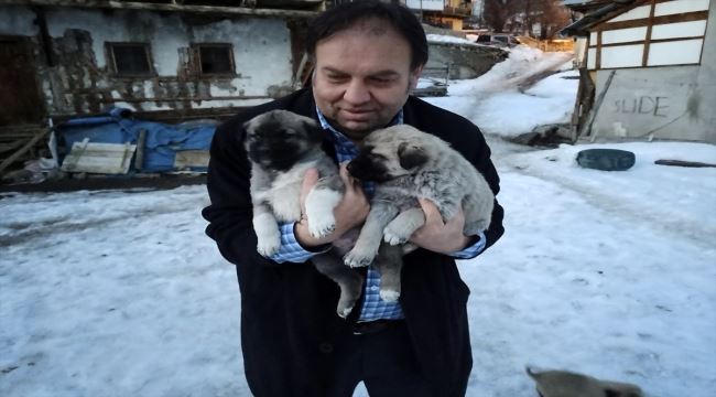 Sokak hayvanlarına mama desteği