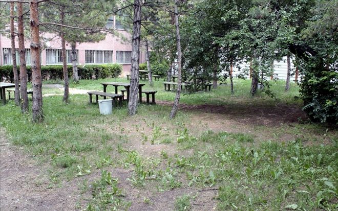 HASTALARA ÖZEL HOBİ BAHÇESİ