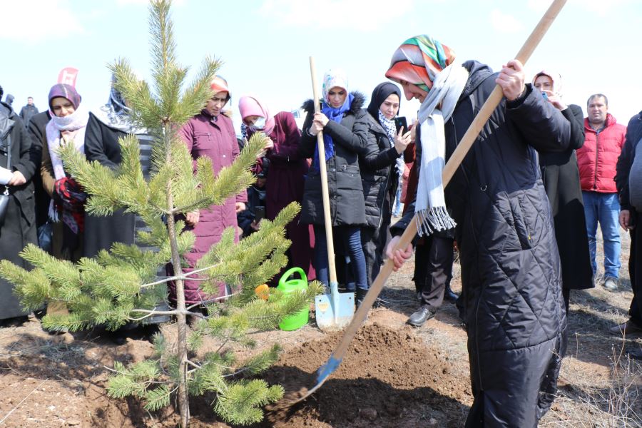FİDANLAR TOPRAKLA BULUŞTURULDU (VİDEO)