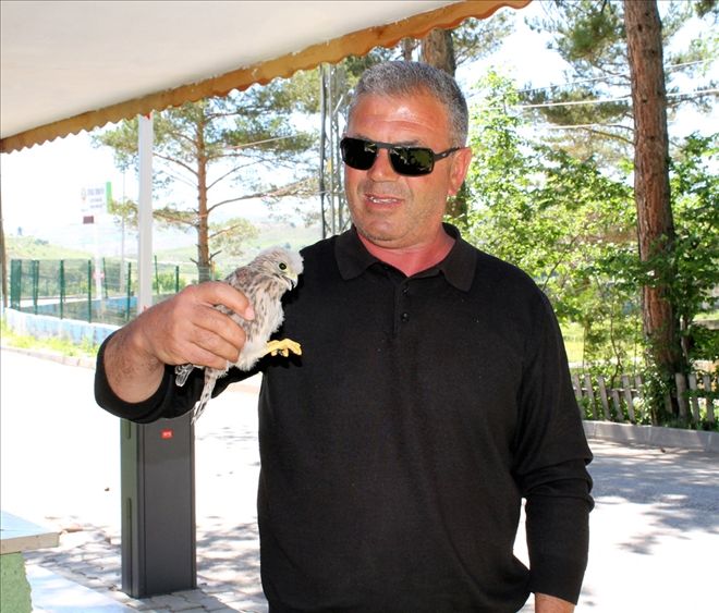 DÜŞMANI  ATMACA´YA  YARDIM ETTİ