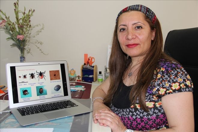 "KENEYE YAĞ DÖKMEYİN"