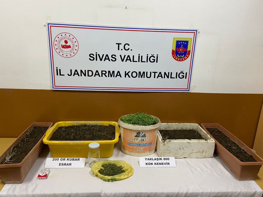 Jandarmadan uyuşturucu operasyonu